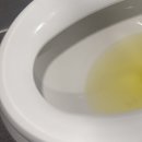 의료법인 수영의료재단 고성제일요양병원 | 좋은 강안병원 종합검진 후기(국가검진 아님)