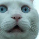 세진전자 이미지