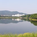 율동공인중개사사무소 이미지