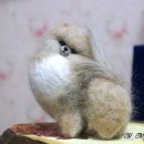 니들펠트 이미지