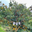 아름이농장 이미지