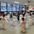 용인대 남양 태권도장 이미지