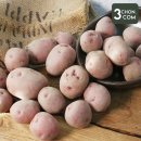 삼촌유통 이미지