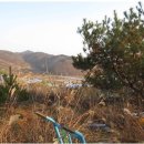 대곡면사무소 이미지