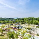 독립기념관 캠핑장 이미지