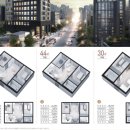 아델리아 이미지