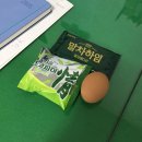 뽑기어때 | 12/8 - 14 유행이 좀 지나면 어때 난 처음 해보는건데^0^