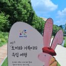 유럽풍정원"계묘년 토끼와 거북이의 유럽여행,노원구당현천변산책길에 나라별 꽃과 랜드마크미니어쳐사진올리기. 이미지