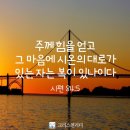 시온의 대로 이미지