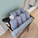 스테이낭 이미지