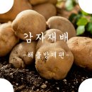 동일농약사 이미지