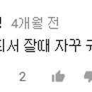 마들렌러브(Madeleine Love) 이미지