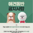 제주댕댕이애견펜션블랙 | [제주 애월 애견동반 펜션] 댕댕이 애견펜션 블랙 내돈내고 다녀온 솔직후기