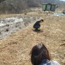 모레골 농장 이미지