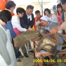 민들레의 집 이미지