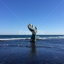 푸른바다물회 이미지