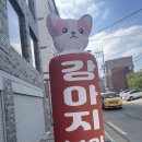 퍼피힐 강아지분양 이미지