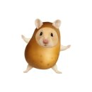 개도 사람길 | [강원도] 강릉 길감자 강릉 중앙시장 필수 먹거리 맛집 오픈런 소스 추천 주차 내돈내산 솔직후기