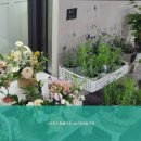 스위트드림플라워성신여대입구역