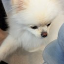 오하뷰티스튜디오