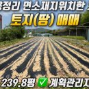 용암면(면소재지) 이미지
