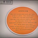 조마루뼈다귀 무거점