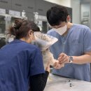본동물메디컬센터 24시수성점 네이버블로그