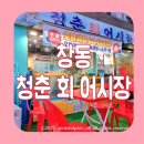 청춘회어시장