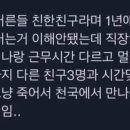 노티드강남카카오 네이버블로그