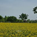 한강시민공원(화훼단지) 이미지