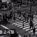 용문고시원 - 강남구 삼성로82길 22 | 용문고시원