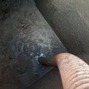 으뜸2농장 이미지