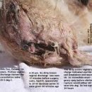 킴리동물병원 이미지