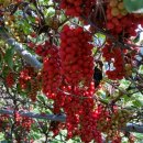 오미자 화장실 이미지