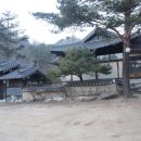 평창송어횟집 이미지