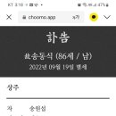 송원섭