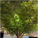 티랩골프 광주 금남점 | 광주 실내골프장 티랩 광주 금남점에서 빠른 실력 향상을!