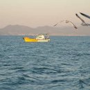 어부의노래 이미지