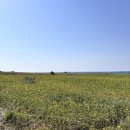 봉주르제주 이미지