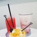 나인파티시에 이미지