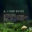 생의 공간 이미지