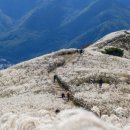 강원특별자치도 영월군 주천면사무소 이미지