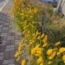 비치파크모텔 이미지