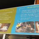 카페트룬