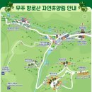 무주 향로산 자연휴양림 밤나무집 후기