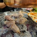 황제식껍 이미지