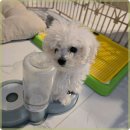 멍벤져스 이미지