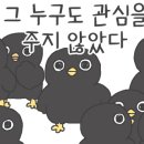 정가는짬뽕 이미지