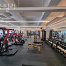 스타빌리 이미지