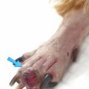 두리종합동물병원 이미지